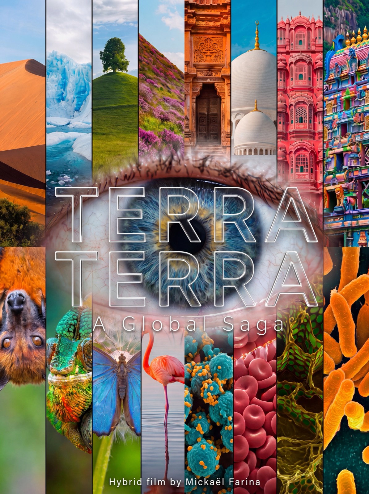Terra Terra &mdash; A Global Saga &mdash; film poster